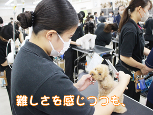 お客様の愛犬をトリミング♪